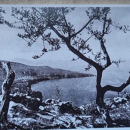 J'adore Διαμέρισμα