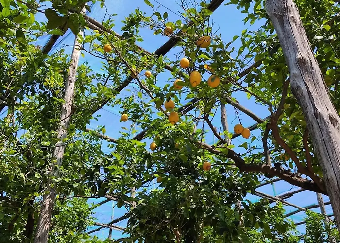 J'adore 公寓 索伦托