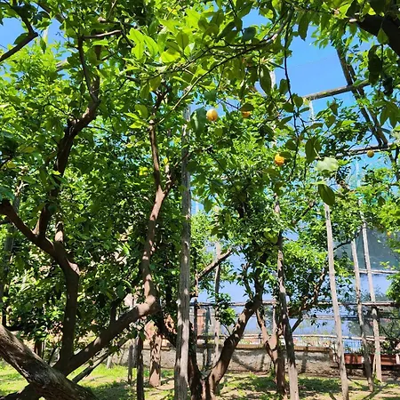 Appartamento J'adore